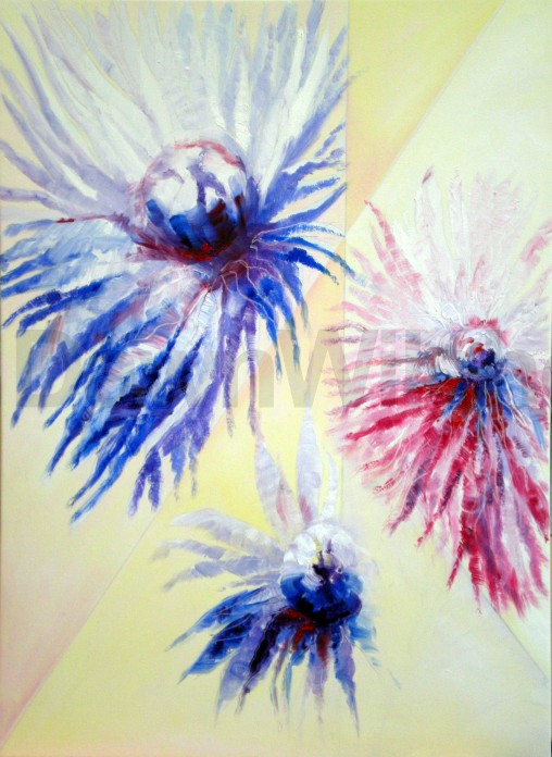 Chrysanthamams