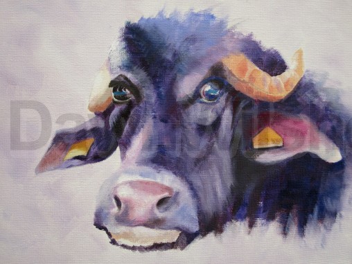 Cow