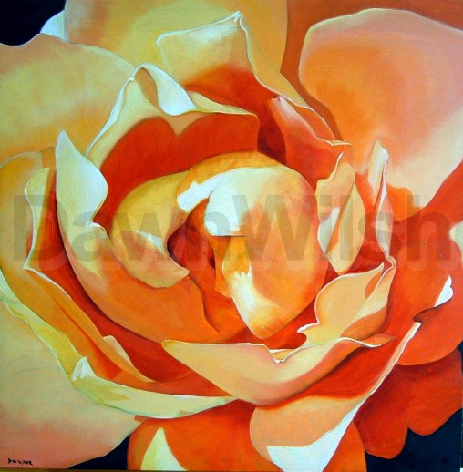 Meditation on a Rose I